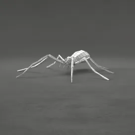 Spider